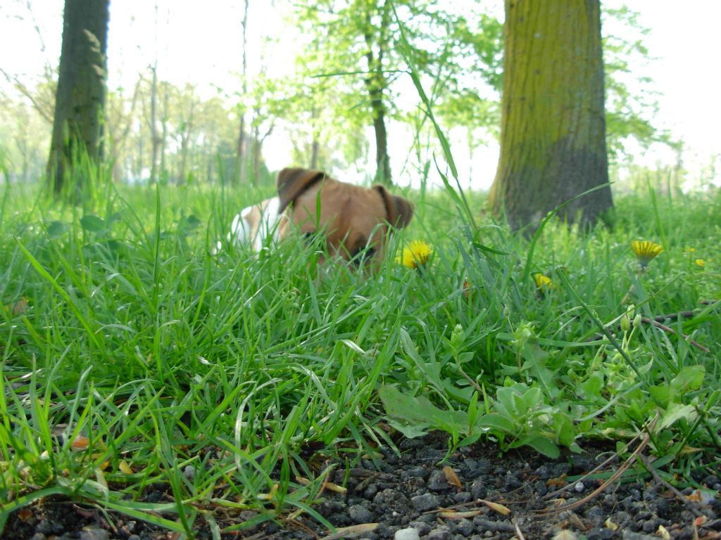 Max
